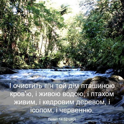 Picture 03 - Левит 14:52 UKR - І очистить він той дім - Bible Verse Picture