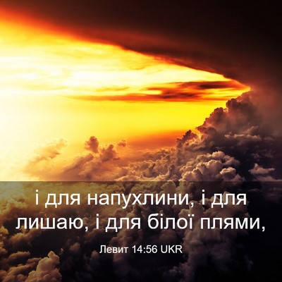 Picture 03 - Левит 14:56 UKR - і для напухлини, і для - Bible Verse Picture