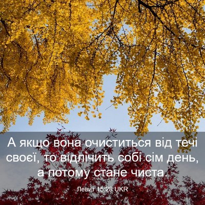 Picture 03 - Левит 15:28 UKR - А якщо вона очиститься від - Bible Verse Picture
