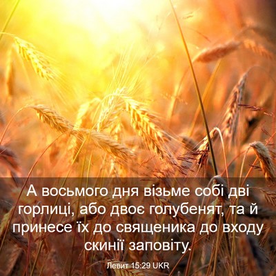 Picture 03 - Левит 15:29 UKR - А восьмого дня візьме собі - Bible Verse Picture