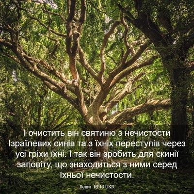 Picture 03 - Левит 16:16 UKR - І очистить він святиню з - Bible Verse Picture