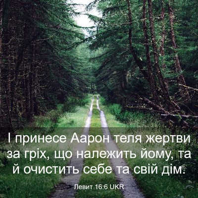 Picture 03 - Левит 16:6 UKR - І принесе Аарон теля - Bible Verse Picture