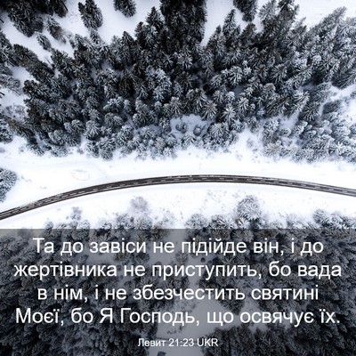 Picture 03 - Левит 21:23 UKR - Та до завіси не підійде - Bible Verse Picture
