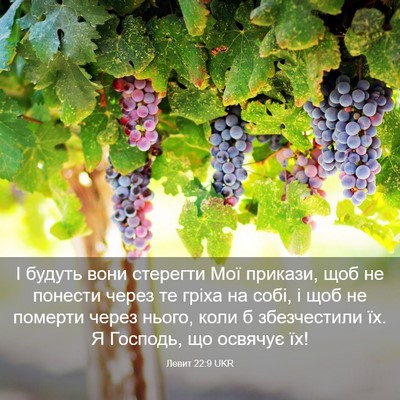 Picture 03 - Левит 22:9 UKR - І будуть вони стерегти Мої - Bible Verse Picture
