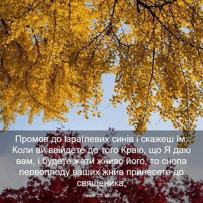 Picture 03 - Левит 23:10 UKR - Промов до Ізраїлевих синів - Bible Verse Picture