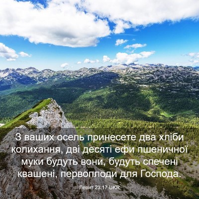 Picture 03 - Левит 23:17 UKR - З ваших осель принесете - Bible Verse Picture