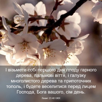 Picture 03 - Левит 23:40 UKR - І візьмете собі першого - Bible Verse Picture