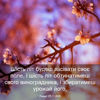 Picture 03 - Левит 25:3 UKR - Шість літ будеш засівати - Bible Verse Picture