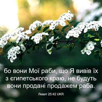 Picture 03 - Левит 25:42 UKR - бо вони Мої раби, що Я вивів - Bible Verse Picture