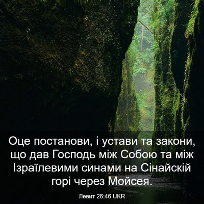 Picture 03 - Левит 26:46 UKR - Оце постанови, і устави та - Bible Verse Picture