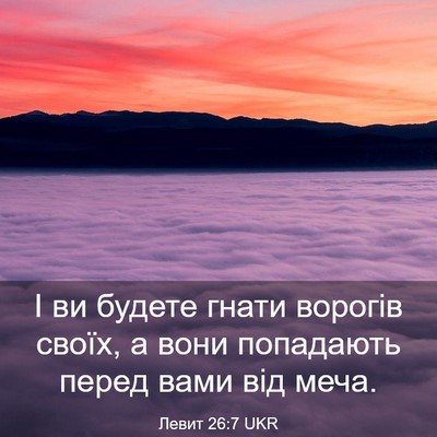 Picture 03 - Левит 26:7 UKR - І ви будете гнати ворогів - Bible Verse Picture