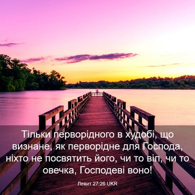 Picture 03 - Левит 27:26 UKR - Тільки перворідного в - Bible Verse Picture