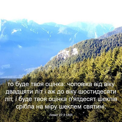 Picture 03 - Левит 27:3 UKR - то буде твоя оцінка: - Bible Verse Picture