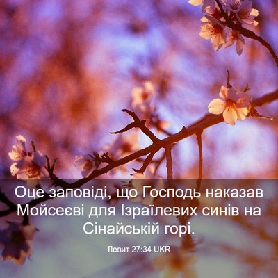 Picture 03 - Левит 27:34 UKR - Оце заповіді, що Господь - Bible Verse Picture
