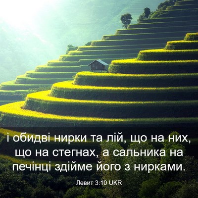 Picture 03 - Левит 3:10 UKR - і обидві нирки та лій, що на - Bible Verse Picture