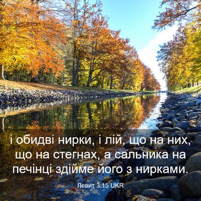 Picture 03 - Левит 3:15 UKR - і обидві нирки, і лій, що на - Bible Verse Picture