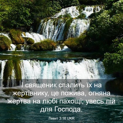 Picture 03 - Левит 3:16 UKR - І священик спалить їх на - Bible Verse Picture