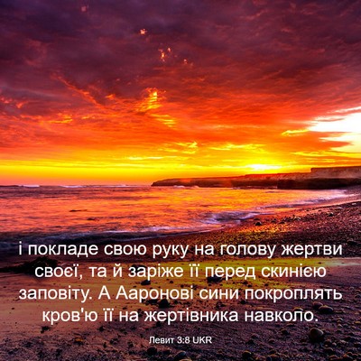 Picture 03 - Левит 3:8 UKR - і покладе свою руку на - Bible Verse Picture
