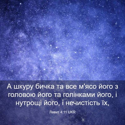 Picture 03 - Левит 4:11 UKR - А шкуру бичка та все м'ясо - Bible Verse Picture