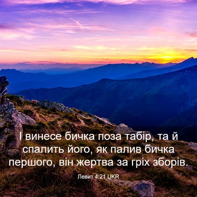 Picture 03 - Левит 4:21 UKR - І винесе бичка поза табір, - Bible Verse Picture