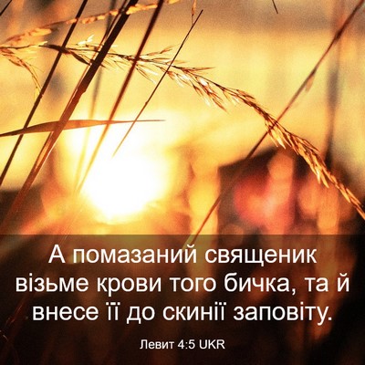 Picture 03 - Левит 4:5 UKR - А помазаний священик - Bible Verse Picture
