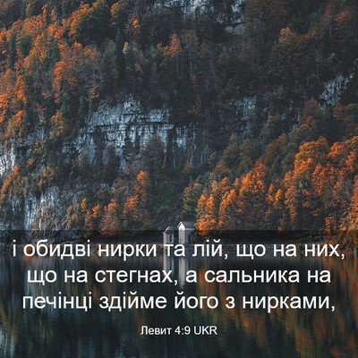 Picture 03 - Левит 4:9 UKR - і обидві нирки та лій, що на - Bible Verse Picture