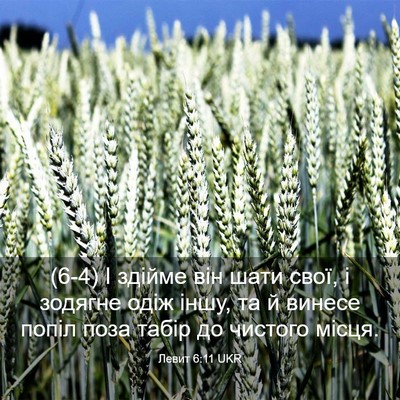 Picture 03 - Левит 6:11 UKR - (6-4) І здійме він шати свої, - Bible Verse Picture