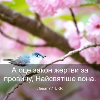 Picture 03 - Левит 7:1 UKR - А оце закон жертви за - Bible Verse Picture