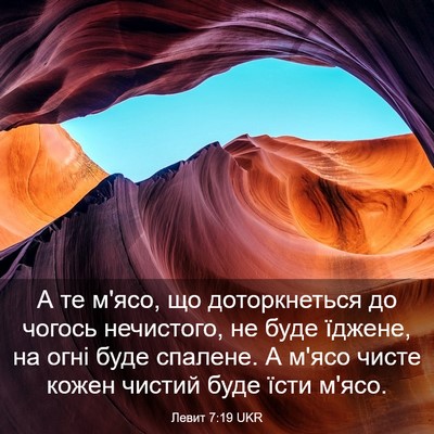 Picture 03 - Левит 7:19 UKR - А те м'ясо, що доторкнеться - Bible Verse Picture