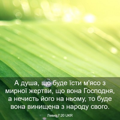 Picture 03 - Левит 7:20 UKR - А душа, що буде їсти м'ясо з - Bible Verse Picture