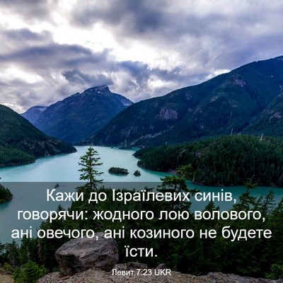 Picture 03 - Левит 7:23 UKR - Кажи до Ізраїлевих синів, - Bible Verse Picture