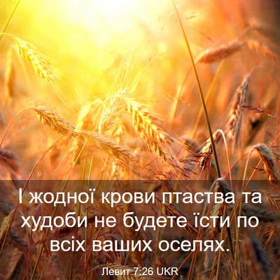 Picture 03 - Левит 7:26 UKR - І жодної крови птаства та - Bible Verse Picture