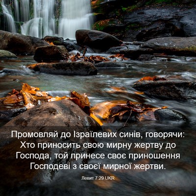 Picture 03 - Левит 7:29 UKR - Промовляй до Ізраїлевих - Bible Verse Picture