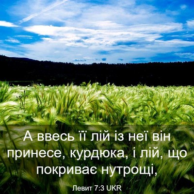 Picture 03 - Левит 7:3 UKR - А ввесь її лій із неї він - Bible Verse Picture