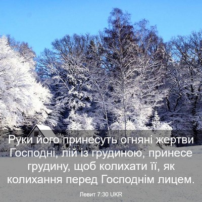 Picture 03 - Левит 7:30 UKR - Руки його принесуть огняні - Bible Verse Picture