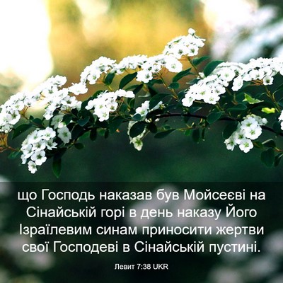 Picture 03 - Левит 7:38 UKR - що Господь наказав був - Bible Verse Picture