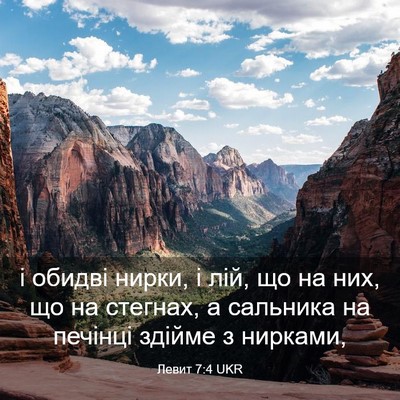 Picture 03 - Левит 7:4 UKR - і обидві нирки, і лій, що на - Bible Verse Picture