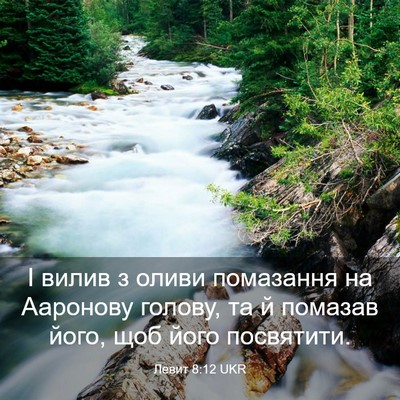 Picture 03 - Левит 8:12 UKR - І вилив з оливи помазання - Bible Verse Picture