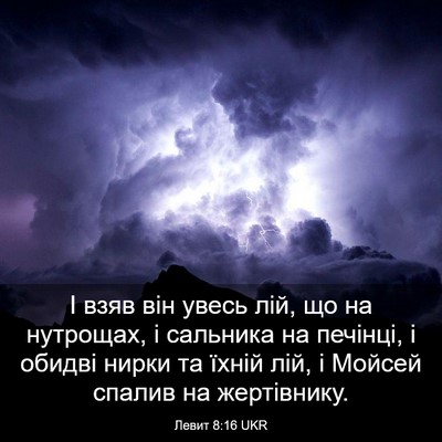 Picture 03 - Левит 8:16 UKR - І взяв він увесь лій, що на - Bible Verse Picture