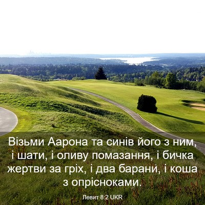 Picture 03 - Левит 8:2 UKR - Візьми Аарона та синів - Bible Verse Picture