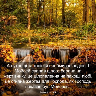 Picture 03 - Левит 8:21 UKR - А нутрощі та голінки - Bible Verse Picture