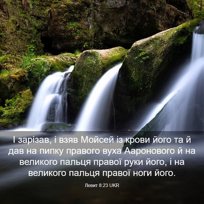 Picture 03 - Левит 8:23 UKR - І зарізав, і взяв Мойсей із - Bible Verse Picture