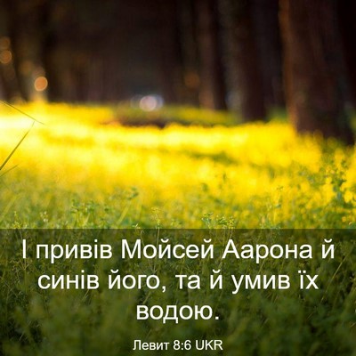 Picture 03 - Левит 8:6 UKR - І привів Мойсей Аарона й - Bible Verse Picture