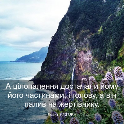 Picture 03 - Левит 9:13 UKR - А цілопалення достачали - Bible Verse Picture