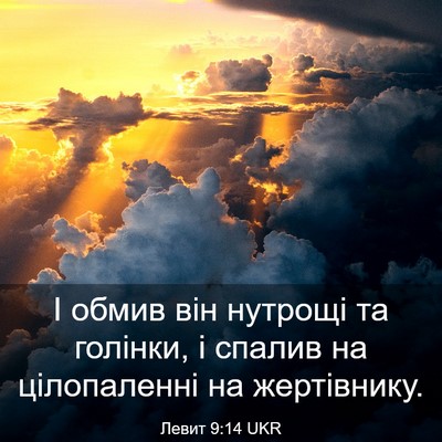 Picture 03 - Левит 9:14 UKR - І обмив він нутрощі та - Bible Verse Picture