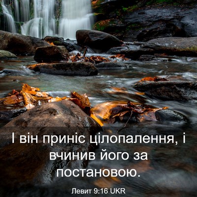 Picture 03 - Левит 9:16 UKR - І він приніс цілопалення, і - Bible Verse Picture