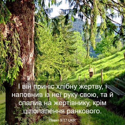 Picture 03 - Левит 9:17 UKR - І він приніс хлібну жертву, - Bible Verse Picture