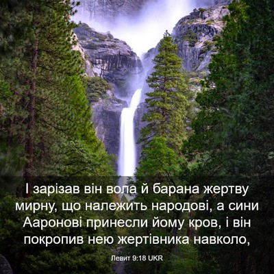 Picture 03 - Левит 9:18 UKR - І зарізав він вола й барана - Bible Verse Picture