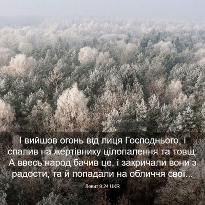 Picture 03 - Левит 9:24 UKR - І вийшов огонь від лиця - Bible Verse Picture