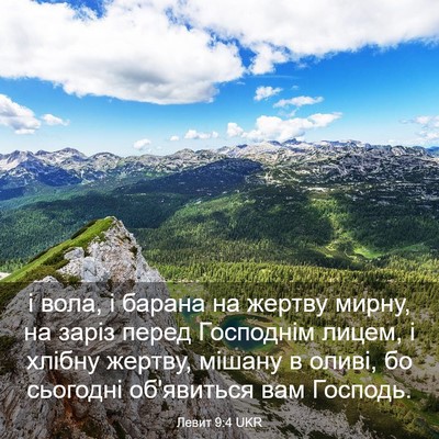 Picture 03 - Левит 9:4 UKR - і вола, і барана на жертву - Bible Verse Picture